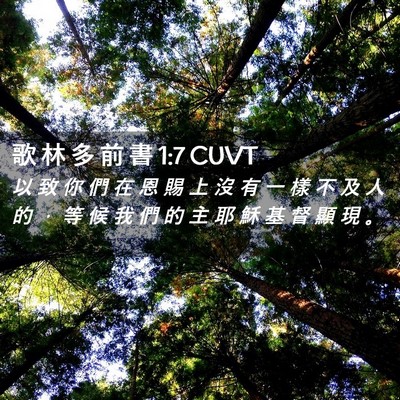 Picture 02 - 歌 林 多 前 書 1:7 CUVT - 以 致 你 們 在 恩 賜 上 沒 有 一 樣 - Bible Verse Picture