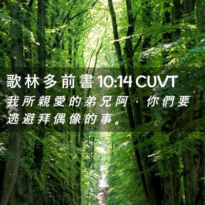 Picture 02 - 歌 林 多 前 書 10:14 CUVT - 我 所 親 愛 的 弟 兄 阿 ， 你 們 要 - Bible Verse Picture