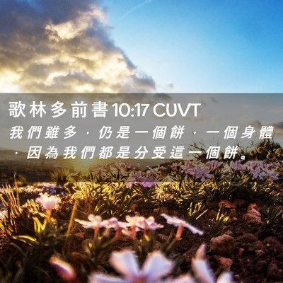 Picture 02 - 歌 林 多 前 書 10:17 CUVT - 我 們 雖 多 ， 仍 是 一 個 餅 ， 一 - Bible Verse Picture