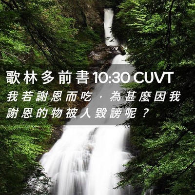 Picture 02 - 歌 林 多 前 書 10:30 CUVT - 我 若 謝 恩 而 吃 ， 為 甚 麼 因 我 - Bible Verse Picture