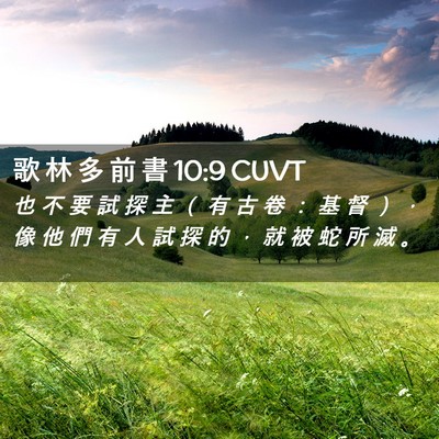 Picture 02 - 歌 林 多 前 書 10:9 CUVT - 也 不 要 試 探 主 （ 有 古 卷 ： 基 - Bible Verse Picture