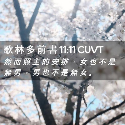 Picture 02 - 歌 林 多 前 書 11:11 CUVT - 然 而 照 主 的 安 排 ， 女 也 不 是 - Bible Verse Picture