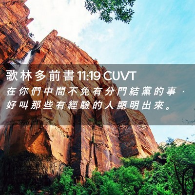 Picture 02 - 歌 林 多 前 書 11:19 CUVT - 在 你 們 中 間 不 免 有 分 門 結 黨 - Bible Verse Picture