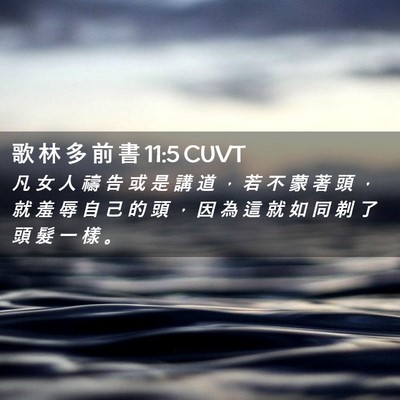 Picture 02 - 歌 林 多 前 書 11:5 CUVT - 凡 女 人 禱 告 或 是 講 道 ， 若 不 - Bible Verse Picture