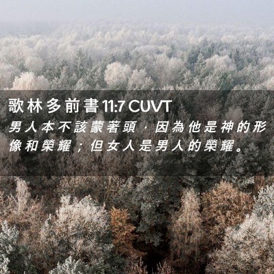 Picture 02 - 歌 林 多 前 書 11:7 CUVT - 男 人 本 不 該 蒙 著 頭 ， 因 為 他 - Bible Verse Picture