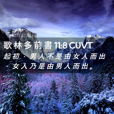 Picture 02 - 歌 林 多 前 書 11:8 CUVT - 起 初 ， 男 人 不 是 由 女 人 而 出 - Bible Verse Picture