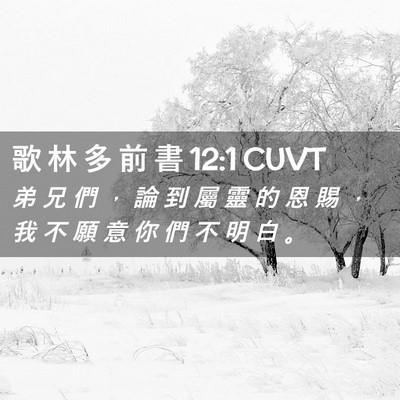 Picture 02 - 歌 林 多 前 書 12:1 CUVT - 弟 兄 們 ， 論 到 屬 靈 的 恩 賜 ， - Bible Verse Picture