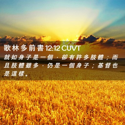 Picture 02 - 歌 林 多 前 書 12:12 CUVT - 就 如 身 子 是 一 個 ， 卻 有 許 多 - Bible Verse Picture