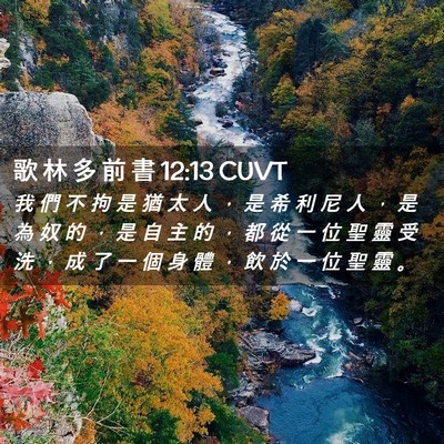 Picture 02 - 歌 林 多 前 書 12:13 CUVT - 我 們 不 拘 是 猶 太 人 ， 是 希 利 - Bible Verse Picture