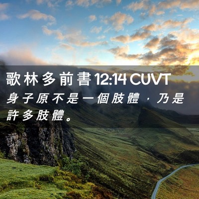 Picture 02 - 歌 林 多 前 書 12:14 CUVT - 身 子 原 不 是 一 個 肢 體 ， 乃 是 - Bible Verse Picture