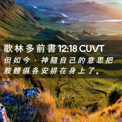 Picture 02 - 歌 林 多 前 書 12:18 CUVT - 但 如 今 ， 神 隨 自 己 的 意 思 把 - Bible Verse Picture