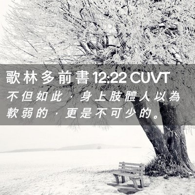 Picture 02 - 歌 林 多 前 書 12:22 CUVT - 不 但 如 此 ， 身 上 肢 體 人 以 為 - Bible Verse Picture
