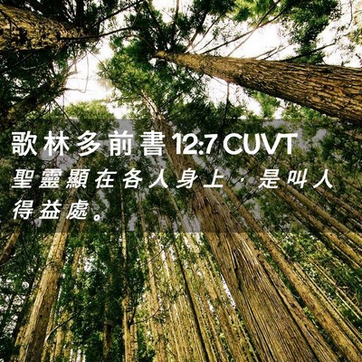 Picture 02 - 歌 林 多 前 書 12:7 CUVT - 聖 靈 顯 在 各 人 身 上 ， 是 叫 人 - Bible Verse Picture