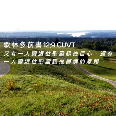 Picture 02 - 歌 林 多 前 書 12:9 CUVT - 又 有 一 人 蒙 這 位 聖 靈 賜 他 信 - Bible Verse Picture
