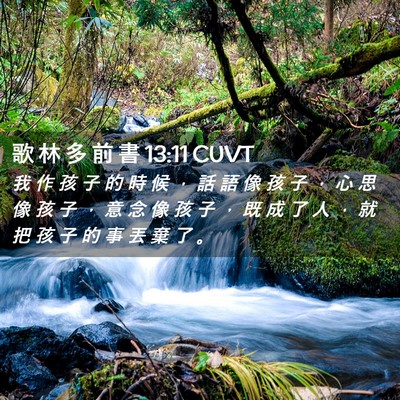 Picture 02 - 歌 林 多 前 書 13:11 CUVT - 我 作 孩 子 的 時 候 ， 話 語 像 孩 - Bible Verse Picture