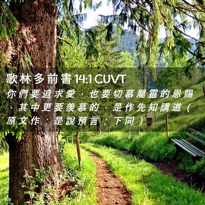 Picture 02 - 歌 林 多 前 書 14:1 CUVT - 你 們 要 追 求 愛 ， 也 要 切 慕 屬 - Bible Verse Picture