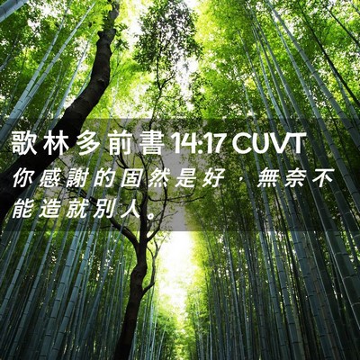 Picture 02 - 歌 林 多 前 書 14:17 CUVT - 你 感 謝 的 固 然 是 好 ， 無 奈 不 - Bible Verse Picture