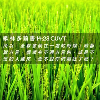 Picture 02 - 歌 林 多 前 書 14:23 CUVT - 所 以 ， 全 教 會 聚 在 一 處 的 時 - Bible Verse Picture
