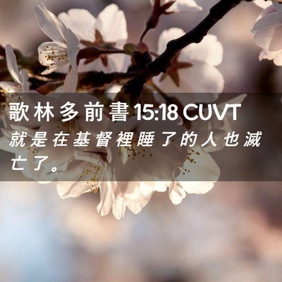 Picture 02 - 歌 林 多 前 書 15:18 CUVT - 就 是 在 基 督 裡 睡 了 的 人 也 滅 - Bible Verse Picture