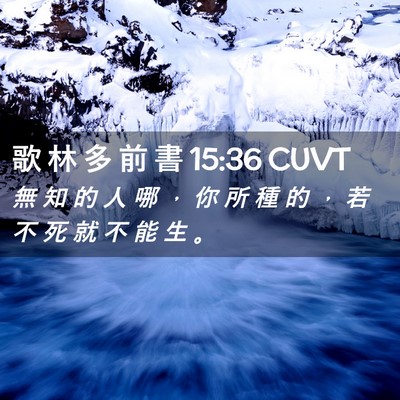 Picture 02 - 歌 林 多 前 書 15:36 CUVT - 無 知 的 人 哪 ， 你 所 種 的 ， 若 - Bible Verse Picture