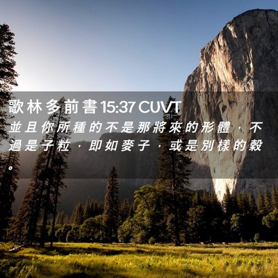 Picture 02 - 歌 林 多 前 書 15:37 CUVT - 並 且 你 所 種 的 不 是 那 將 來 的 - Bible Verse Picture