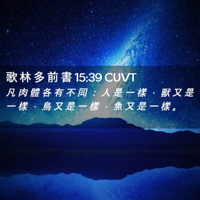 Picture 02 - 歌 林 多 前 書 15:39 CUVT - 凡 肉 體 各 有 不 同 ： 人 是 一 樣 - Bible Verse Picture