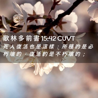 Picture 02 - 歌 林 多 前 書 15:42 CUVT - 死 人 復 活 也 是 這 樣 ： 所 種 的 - Bible Verse Picture