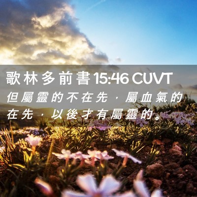 Picture 02 - 歌 林 多 前 書 15:46 CUVT - 但 屬 靈 的 不 在 先 ， 屬 血 氣 的 - Bible Verse Picture