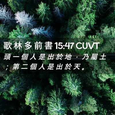 Picture 02 - 歌 林 多 前 書 15:47 CUVT - 頭 一 個 人 是 出 於 地 ， 乃 屬 土 - Bible Verse Picture