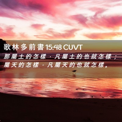 Picture 02 - 歌 林 多 前 書 15:48 CUVT - 那 屬 土 的 怎 樣 ， 凡 屬 土 的 也 - Bible Verse Picture