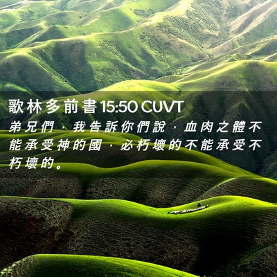 Picture 02 - 歌 林 多 前 書 15:50 CUVT - 弟 兄 們 ， 我 告 訴 你 們 說 ， 血 - Bible Verse Picture