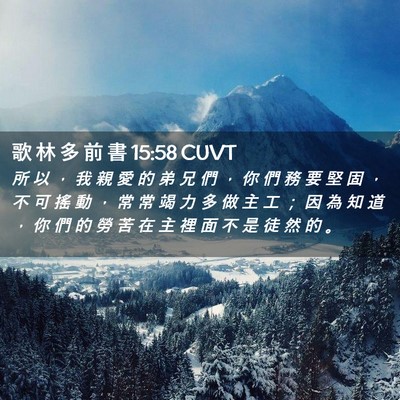 Picture 02 - 歌 林 多 前 書 15:58 CUVT - 所 以 ， 我 親 愛 的 弟 兄 們 ， 你 - Bible Verse Picture