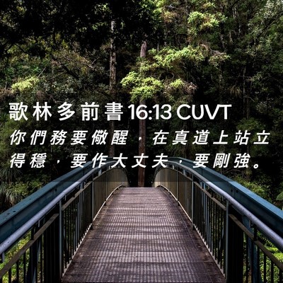 Picture 02 - 歌 林 多 前 書 16:13 CUVT - 你 們 務 要 儆 醒 ， 在 真 道 上 站 - Bible Verse Picture