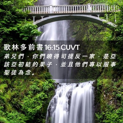 Picture 02 - 歌 林 多 前 書 16:15 CUVT - 弟 兄 們 ， 你 們 曉 得 司 提 反 一 - Bible Verse Picture