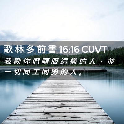 Picture 02 - 歌 林 多 前 書 16:16 CUVT - 我 勸 你 們 順 服 這 樣 的 人 ， 並 - Bible Verse Picture