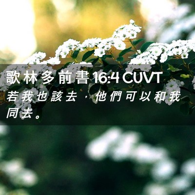 Picture 02 - 歌 林 多 前 書 16:4 CUVT - 若 我 也 該 去 ， 他 們 可 以 和 我 - Bible Verse Picture