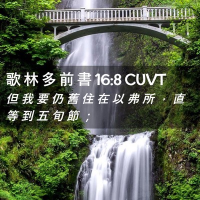 Picture 02 - 歌 林 多 前 書 16:8 CUVT - 但 我 要 仍 舊 住 在 以 弗 所 ， 直 - Bible Verse Picture