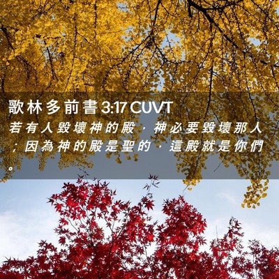 Picture 02 - 歌 林 多 前 書 3:17 CUVT - 若 有 人 毀 壞 神 的 殿 ， 神 必 要 - Bible Verse Picture