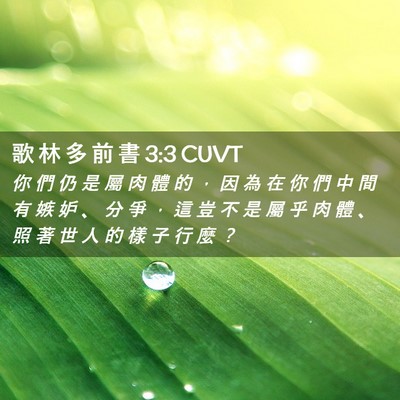 Picture 02 - 歌 林 多 前 書 3:3 CUVT - 你 們 仍 是 屬 肉 體 的 ， 因 為 在 - Bible Verse Picture