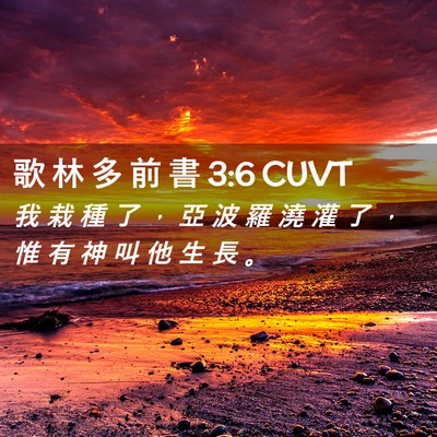 Picture 02 - 歌 林 多 前 書 3:6 CUVT - 我 栽 種 了 ， 亞 波 羅 澆 灌 了 ， - Bible Verse Picture