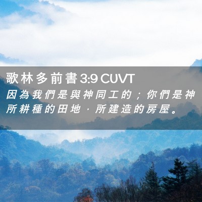 Picture 02 - 歌 林 多 前 書 3:9 CUVT - 因 為 我 們 是 與 神 同 工 的 ； 你 - Bible Verse Picture