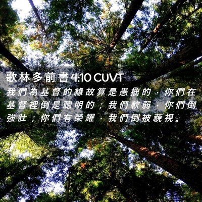 Picture 02 - 歌 林 多 前 書 4:10 CUVT - 我 們 為 基 督 的 緣 故 算 是 愚 拙 - Bible Verse Picture