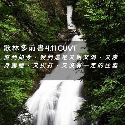 Picture 02 - 歌 林 多 前 書 4:11 CUVT - 直 到 如 今 ， 我 們 還 是 又 飢 又 - Bible Verse Picture