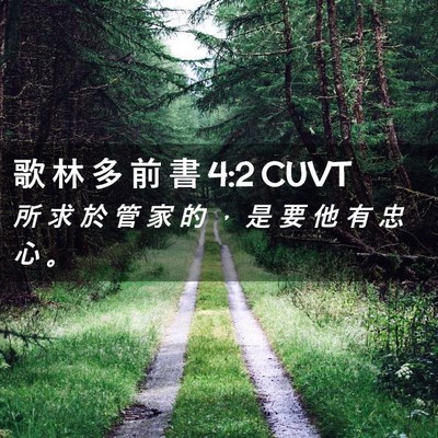 Picture 02 - 歌 林 多 前 書 4:2 CUVT - 所 求 於 管 家 的 ， 是 要 他 有 忠 - Bible Verse Picture
