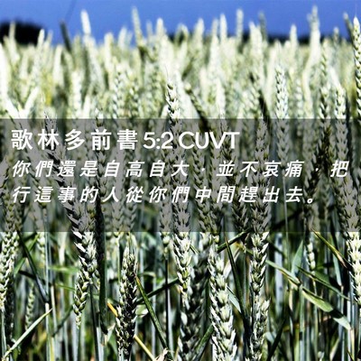 Picture 02 - 歌 林 多 前 書 5:2 CUVT - 你 們 還 是 自 高 自 大 ， 並 不 哀 - Bible Verse Picture