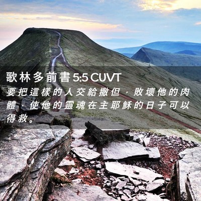 Picture 02 - 歌 林 多 前 書 5:5 CUVT - 要 把 這 樣 的 人 交 給 撒 但 ， 敗 - Bible Verse Picture