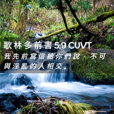 Picture 02 - 歌 林 多 前 書 5:9 CUVT - 我 先 前 寫 信 給 你 們 說 ， 不 可 - Bible Verse Picture