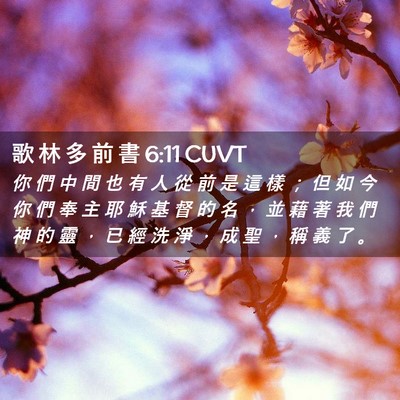Picture 02 - 歌 林 多 前 書 6:11 CUVT - 你 們 中 間 也 有 人 從 前 是 這 樣 - Bible Verse Picture