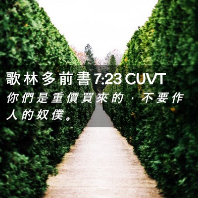 Picture 02 - 歌 林 多 前 書 7:23 CUVT - 你 們 是 重 價 買 來 的 ， 不 要 作 - Bible Verse Picture