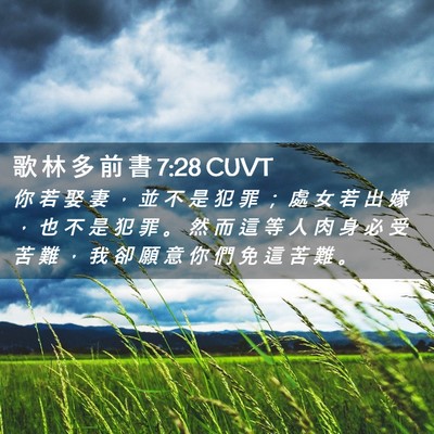Picture 02 - 歌 林 多 前 書 7:28 CUVT - 你 若 娶 妻 ， 並 不 是 犯 罪 ； 處 - Bible Verse Picture